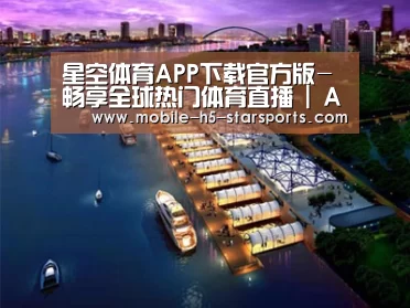 案例展示八