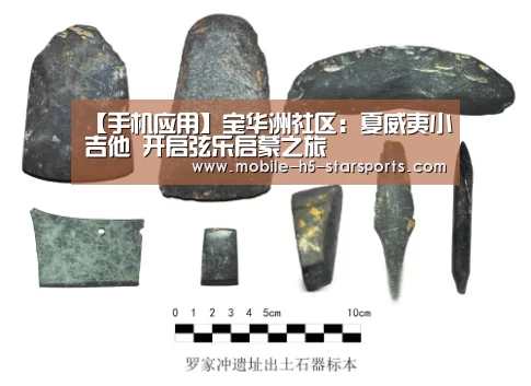【手机应用】宝华洲社区:夏威夷小吉他 开启弦乐启蒙之旅(图2) 星空体育下载