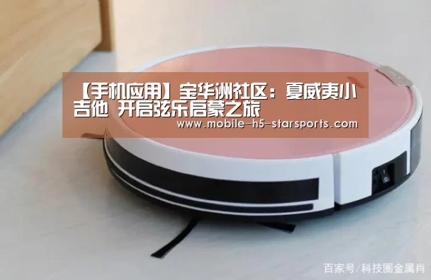【手机应用】宝华洲社区:夏威夷小吉他 开启弦乐启蒙之旅(图3) 星空体育app下载