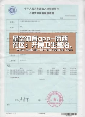 星空体育app-府西社区:开展卫生整治、做好“无违建”迎检工作(图4) 星空体育app