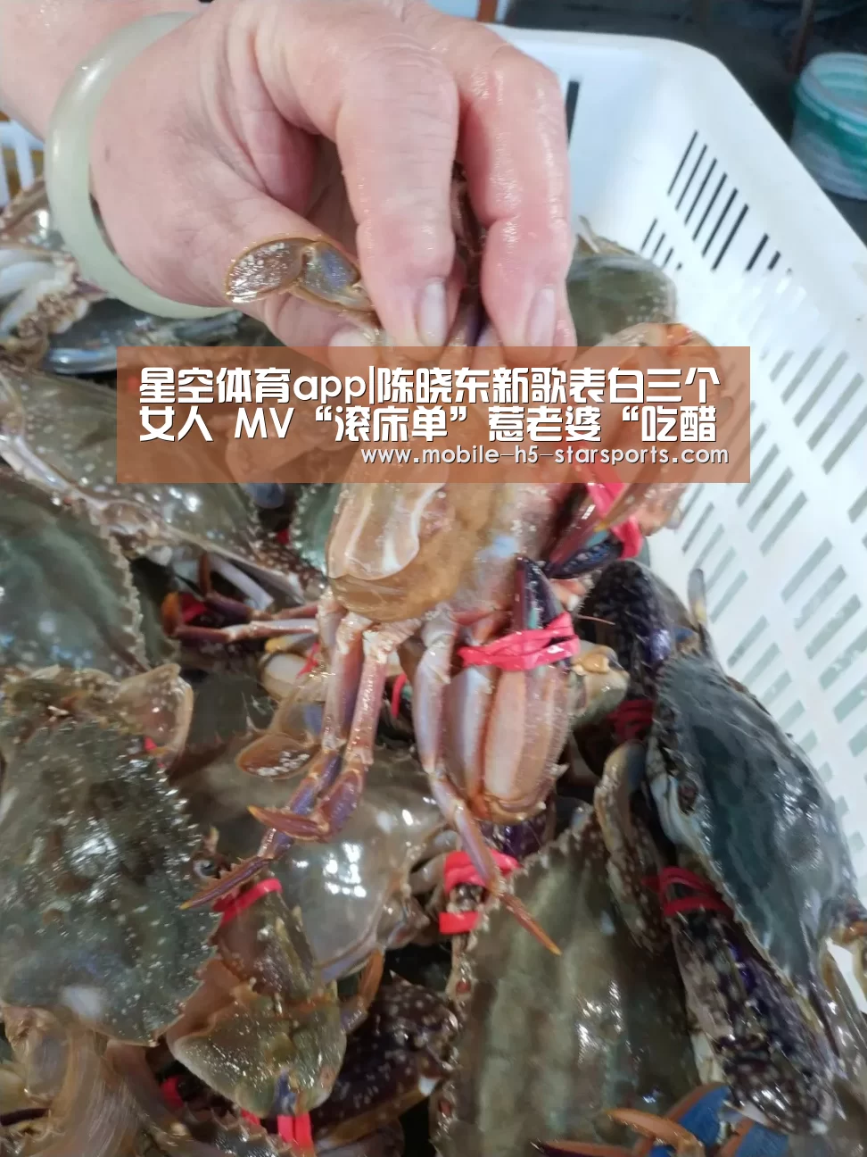 星空体育app|陈晓东新歌表白三个女人 MV“滚床单”惹老婆“吃醋”(图1) 星空体育app
