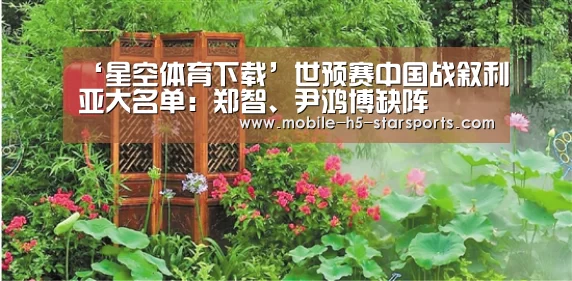 星空体育app