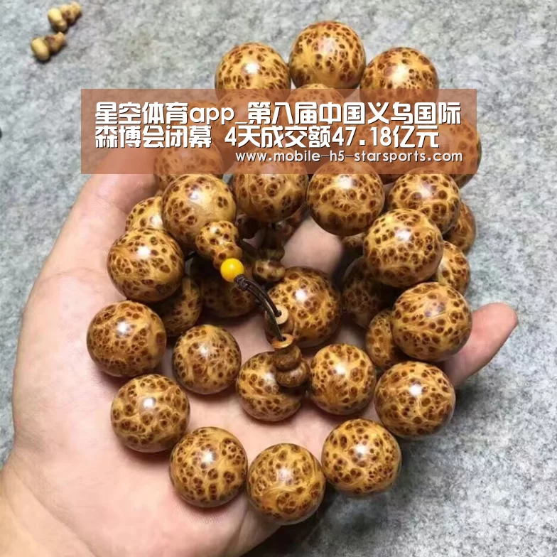 星空体育app