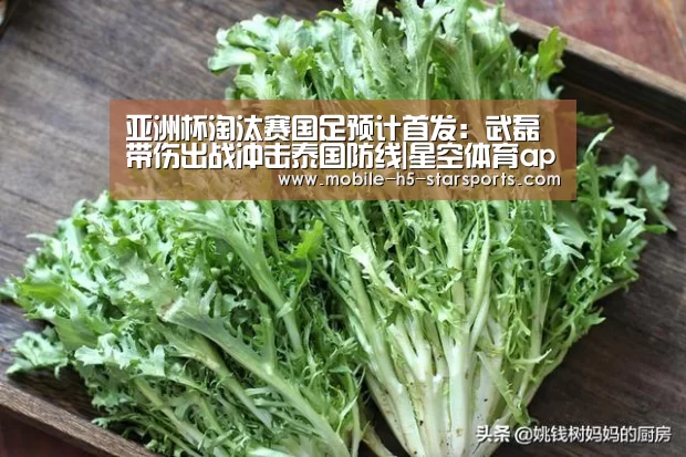 亚洲杯淘汰赛国足预计首发:武磊带伤出战冲击泰国防线|星空体育app(图3) 手机应用