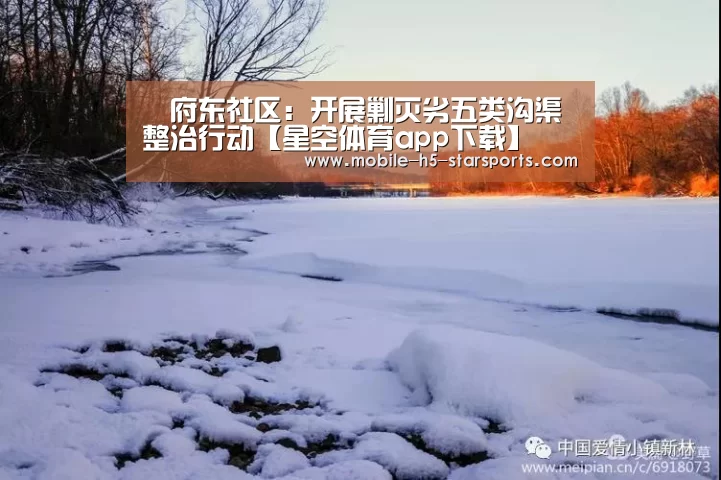 府东社区:开展剿灭劣五类沟渠整治行动【星空体育app下载】(图2) 星空体育app下载