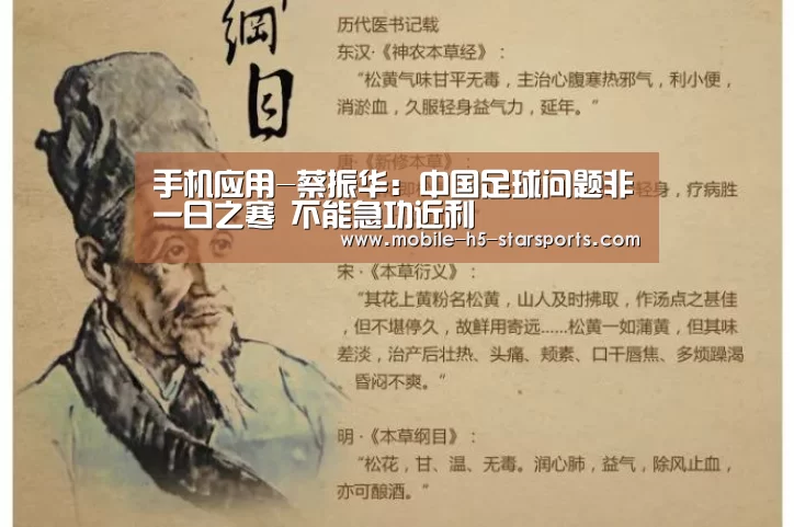 手机应用-蔡振华:中国足球问题非一日之寒 不能急功近利(图1) 手机应用